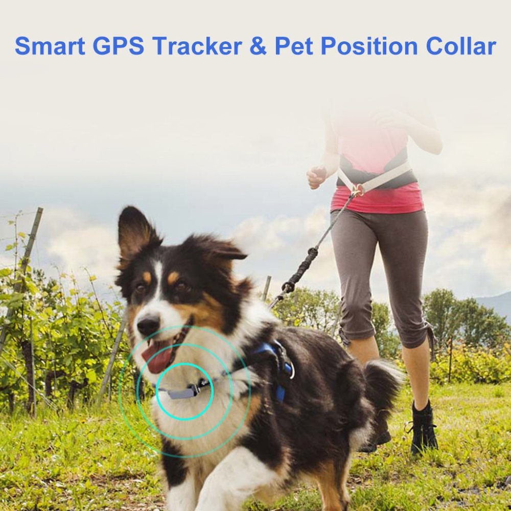 Waterproof Pet GPS Collar